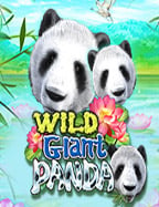 pg slot game 888 เว็บ ตรง ลุ้นโชคได้ทุกที่